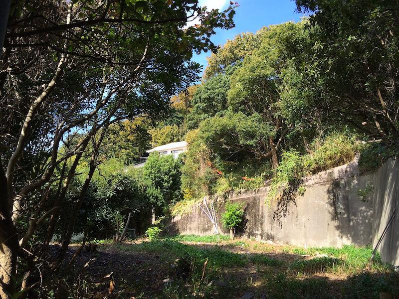 細長い通路の先に森に囲まれた土地が現れる