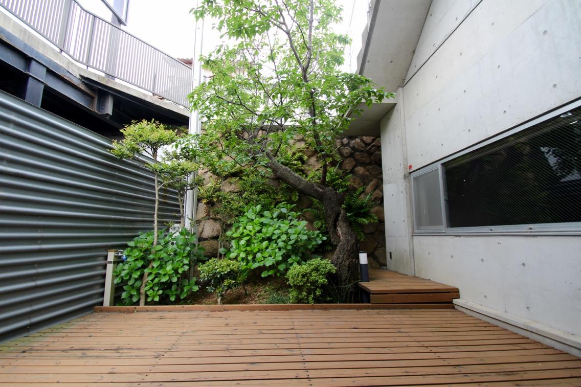 西宮市桜谷町の賃貸物件/専用庭とデッキテラス