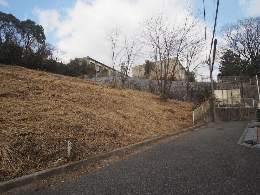 道路から