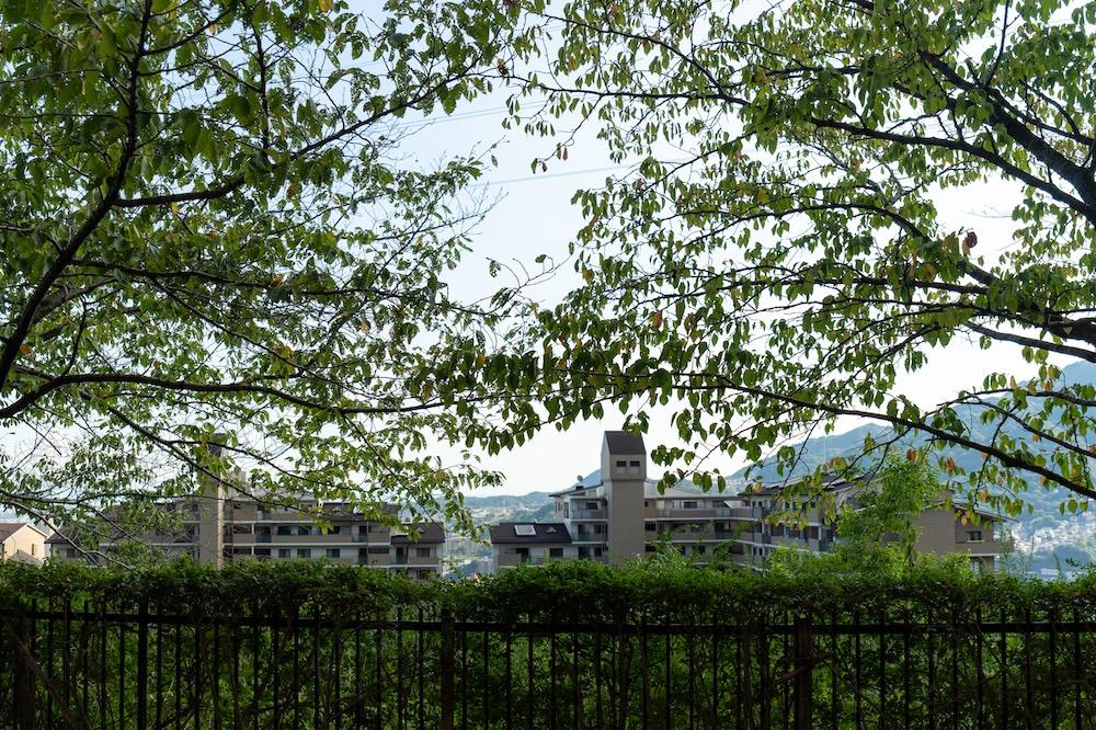 宝塚市すみれガ丘の売買物件/丘の上のマンションなので、1階からの景色も開けています