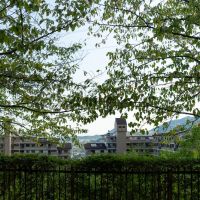 宝塚市すみれガ丘の売買物件/丘の上のマンションなので、1階からの景色も開けています