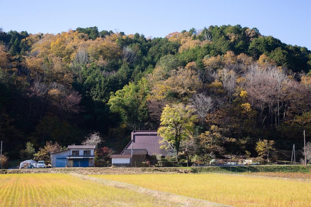 丹波篠山市市野々の賃貸物件/山を背に、田畑が広がるのどかな里山の風景が広がる集落