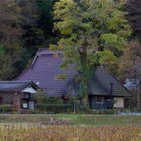 丹波篠山市市野々の賃貸物件/薪ストーブの煙突がチャームポイント