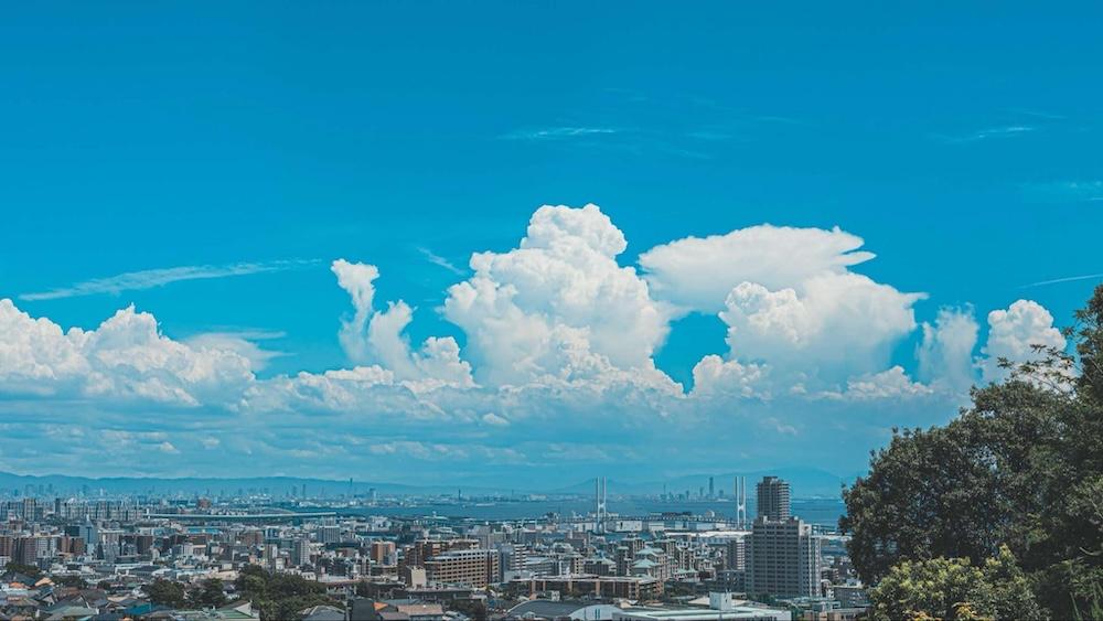 神戸市東灘区住吉山手の賃貸物件/屋上からの景色