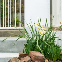 宝塚市長尾台の賃貸物件/門扉の前にもちょこっと花壇