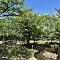 神戸市東灘区岡本の売買物件/駅北側にある岡本南公園