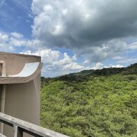 神戸市灘区六甲山町北六甲の売買物件/ウッドデッキからの眺め