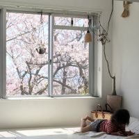 神戸市垂水区塩屋町の売買物件/春、桜を望む窓辺は、子どもにとっても特等席