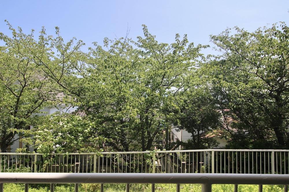 神戸市垂水区塩屋町の売買物件/バルコニーからの眺望