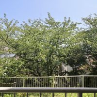 神戸市垂水区塩屋町の売買物件/バルコニーからの眺望