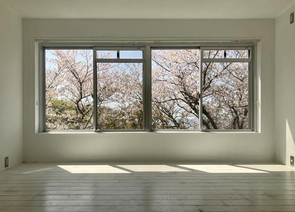神戸市垂水区塩屋町の売買物件/絵になる桜を望む窓辺