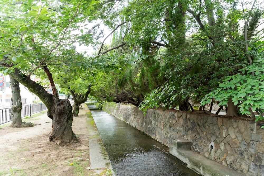 西宮市樋之池町の売買物件/小川が流れています