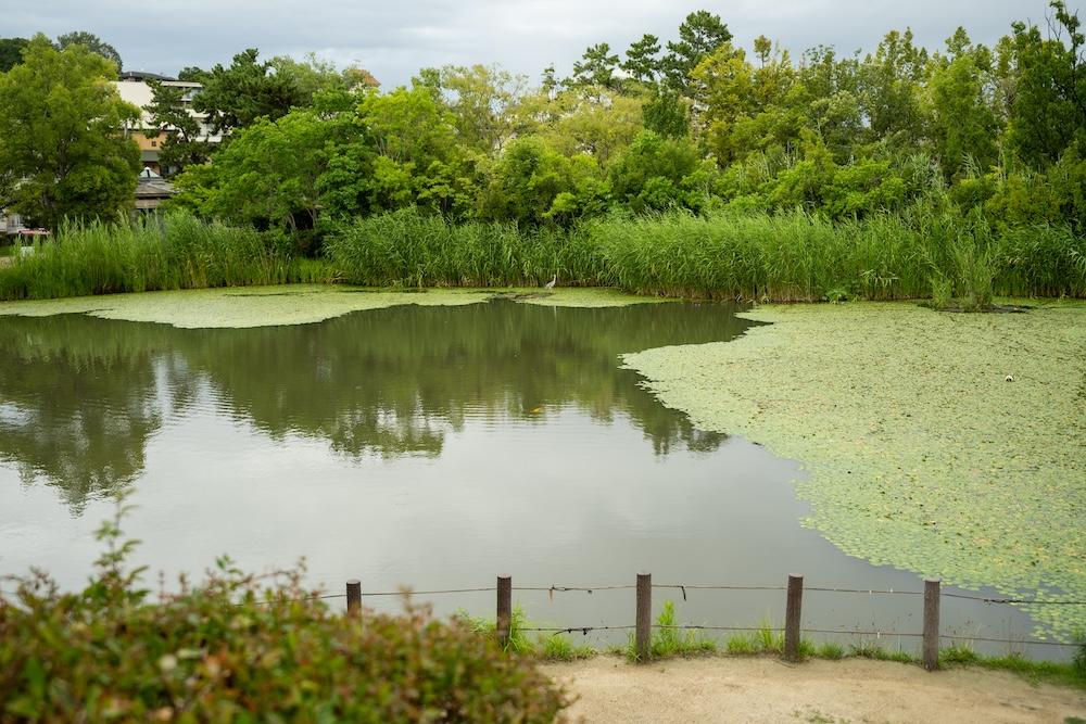 西宮市樋之池町の売買物件/樋之池公園にはその名の通り池があったり、市民プールやテニスコートも