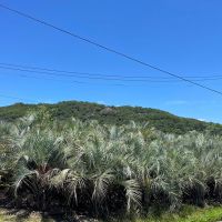姫路市苫編の賃貸物件/物件前からの風景、山が見えます。