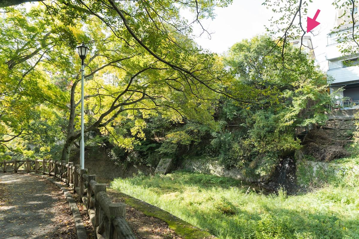 西宮市西平町の売買物件/夙川のリバーサイド（2025年11月撮影）