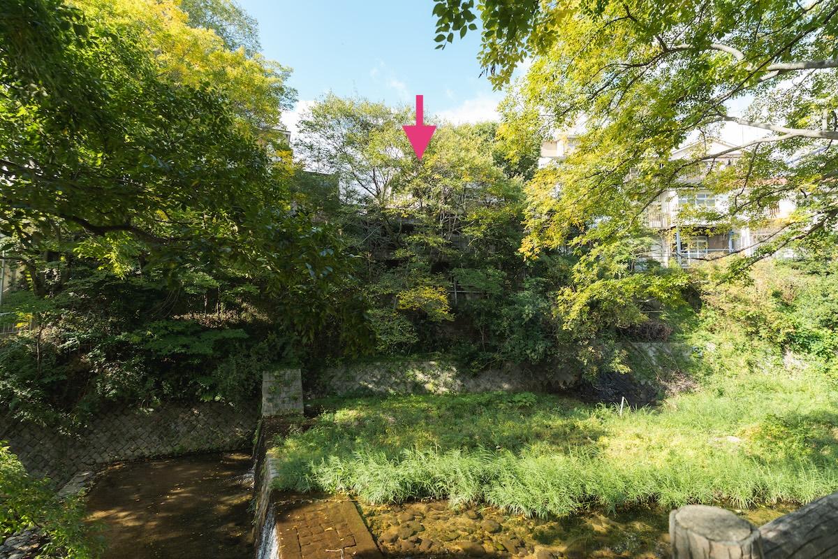 西宮市西平町の売買物件/夙川を挟んで反対側の遊歩道から（2025年11月撮影）