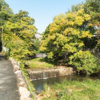 西宮市西平町の売買物件/夙川沿いの散歩を日課にできる距離感