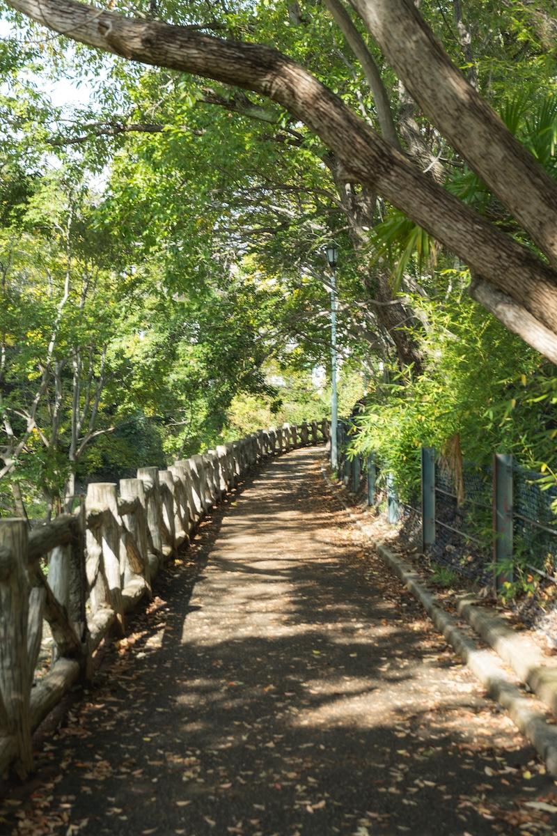 西宮市西平町の売買物件/川を挟んで反対側の緑道