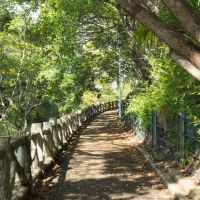 西宮市西平町の売買物件/川を挟んで反対側の緑道