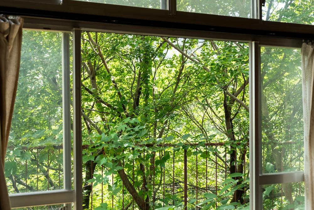 西宮市西平町の売買物件/夏は夙川沿いのモリモリの緑が一面に広がります