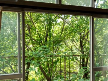 西宮市西平町の売買物件/川べりの家びらき