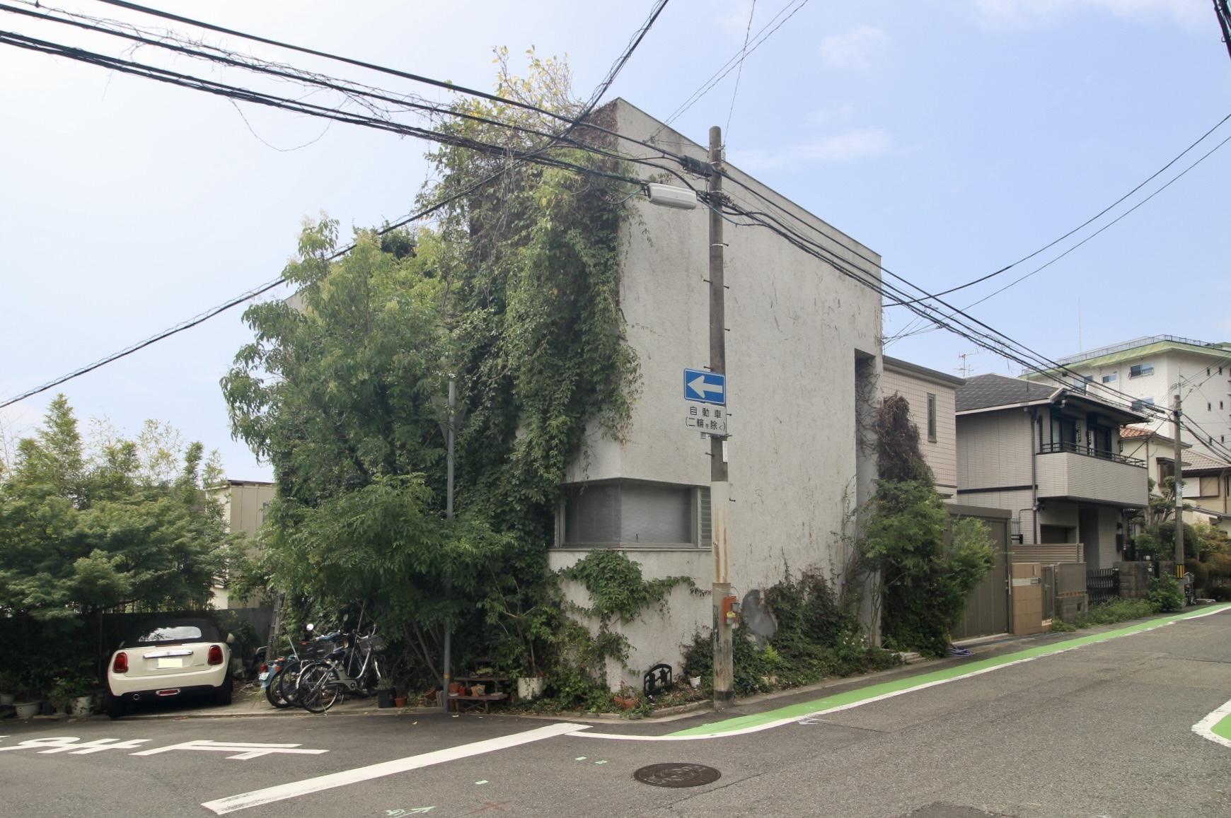 芦屋市西山町の賃貸物件/片面だけサッパリと剪定してツートン仕様。