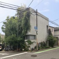 芦屋市西山町の賃貸物件/片面だけサッパリと剪定してツートン仕様。