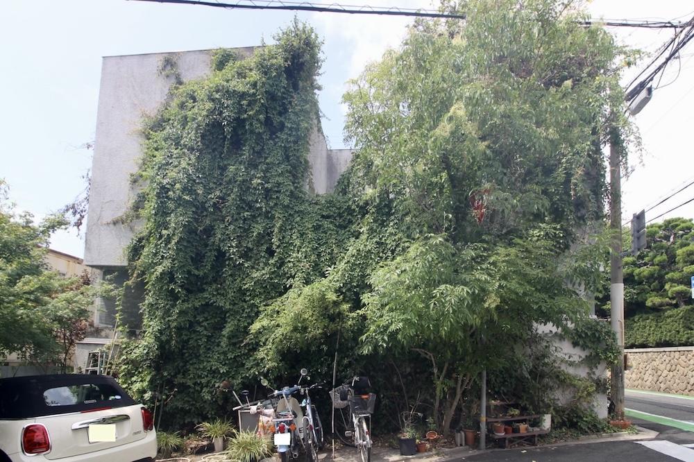 芦屋市西山町の賃貸物件/閑静な住宅街に突如現れる、蔦に覆われたインパクト抜群の外観