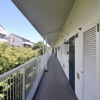 神戸市東灘区鴨子ヶ原の賃貸物件/共用廊下も緑を横目に