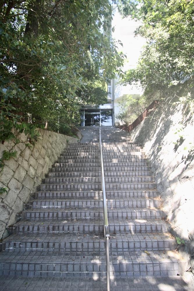 神戸市東灘区鴨子ヶ原の賃貸物件/階段アプローチは、まるで森の小径を抜けるよう