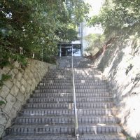 神戸市東灘区鴨子ヶ原の賃貸物件/階段アプローチは、まるで森の小径を抜けるよう