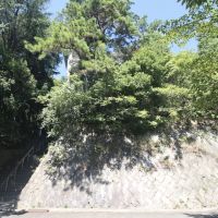 神戸市東灘区鴨子ヶ原の賃貸物件/周囲を緑に囲まれたマンション