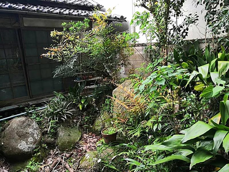 洲本市山手の売買物件/庭
