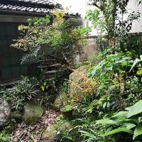洲本市山手の売買物件/庭