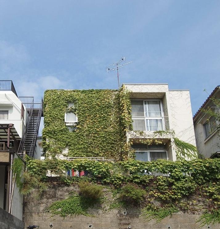神戸市灘区篠原台の賃貸物件/夏は緑に覆われ、冬は葉っぱが落ちます。