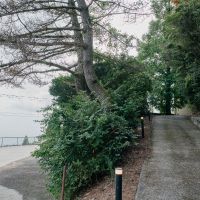 神戸市灘区六甲山町西谷山の売買物件/この坂を上がると物件