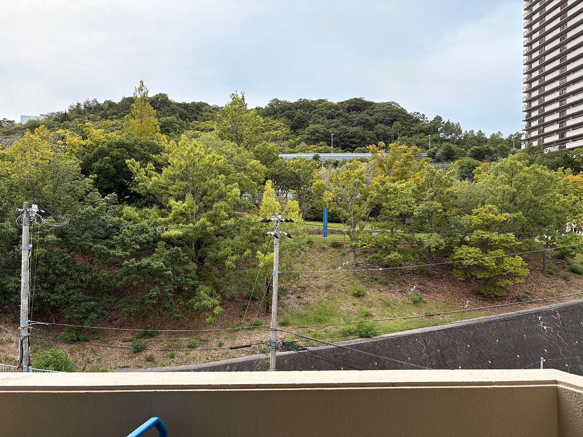 神戸市須磨区清水台の売買物件/バルコニーからグリーン