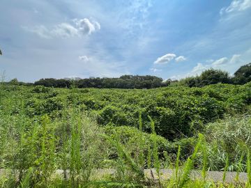 神戸市西区押部谷町福住の売買物件/境界の豊かさ