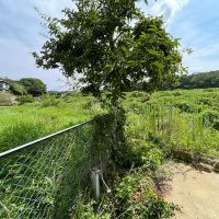 神戸市西区押部谷町福住の売買物件/庭から
