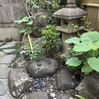 三木市末広の売買物件/庭