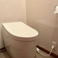 尼崎市西大物の賃貸物件/トイレ