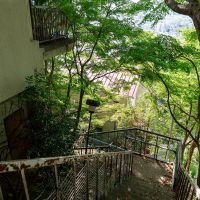 神戸市東灘区森北町の売買物件/玄関まで階段を登り、振り返ると木漏れ日の合間から街の景色