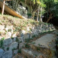 神戸市東灘区森北町の売買物件/住宅地の中の森に佇む