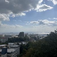 神戸市灘区篠原台の売買物件/大月大橋からの神戸港の眺め