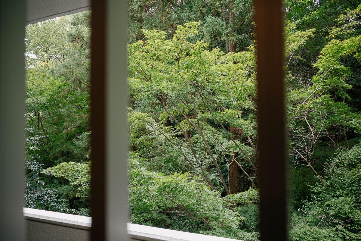 神戸市東灘区住吉台の売買物件/洋室の窓から