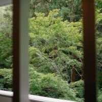 神戸市東灘区住吉台の売買物件/洋室の窓から