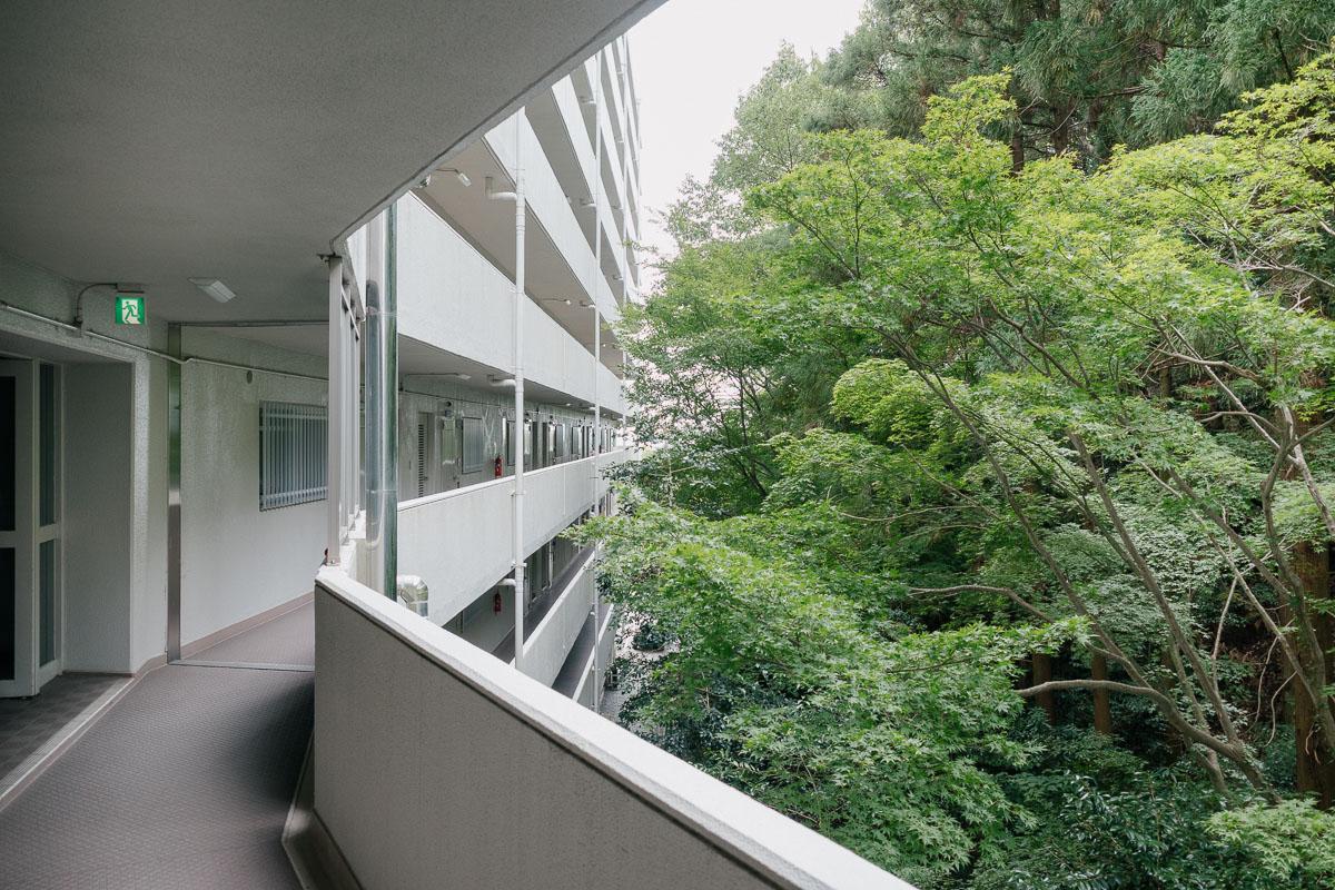 神戸市東灘区住吉台の売買物件/玄関を出ると裏庭のグリーンがせまって。エレベーターにも近いです。