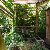 神戸市北区有野町唐櫃の売買物件/滑車のついた井戸のような水槽？