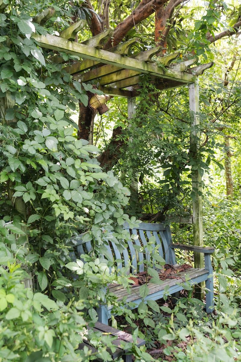 神戸市北区有野町唐櫃の売買物件/草で覆われているのもなんだか絵になるベンチ