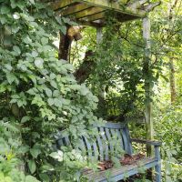 神戸市北区有野町唐櫃の売買物件/草で覆われているのもなんだか絵になるベンチ